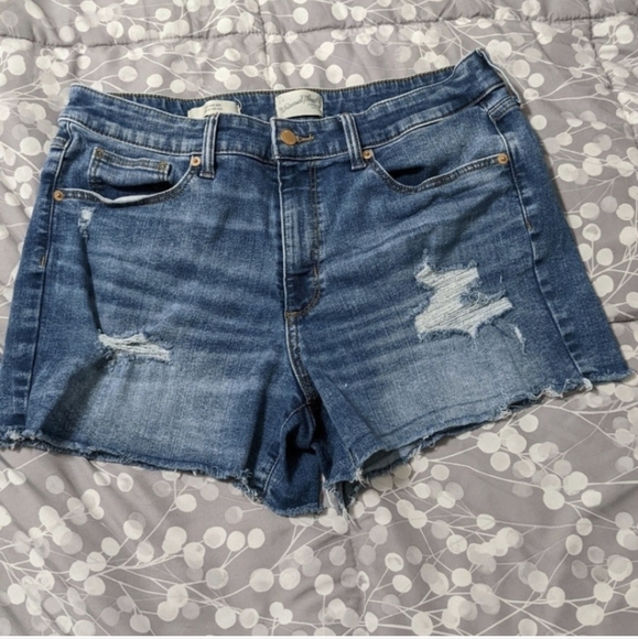 SOLD - BUNDLE OF 2 Denim Shorts sz 14 Torrid / UT - Picture 5 of 7